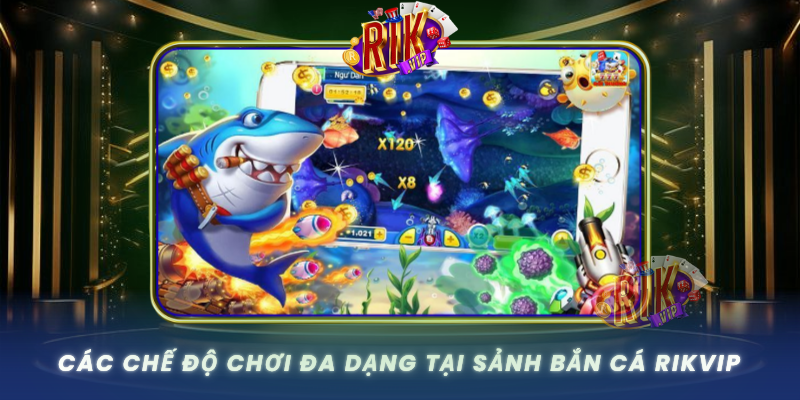 Cac Che Do Choi Da Dang Tai Sanh Ban Ca Rikvip